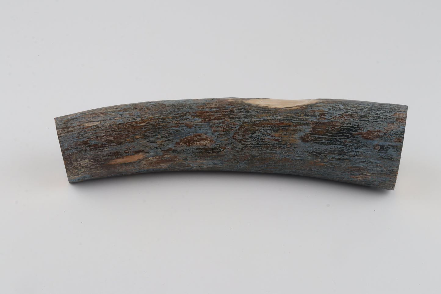 Natural mammoth tusk piece