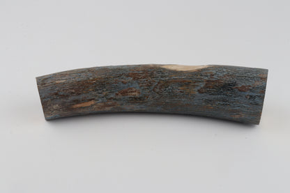 Natural mammoth tusk piece