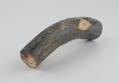 Natural mammoth tusk piece