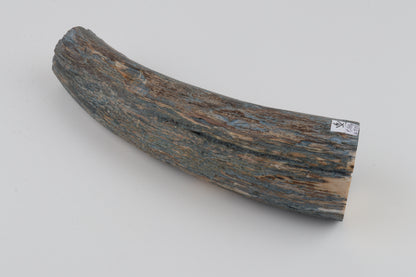 Natural mammoth tusk piece