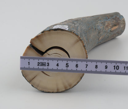 Natural mammoth tusk piece