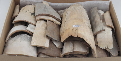 Raw mammoth ivory pieces