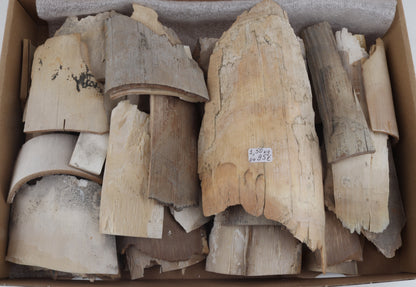 Raw mammoth ivory pieces