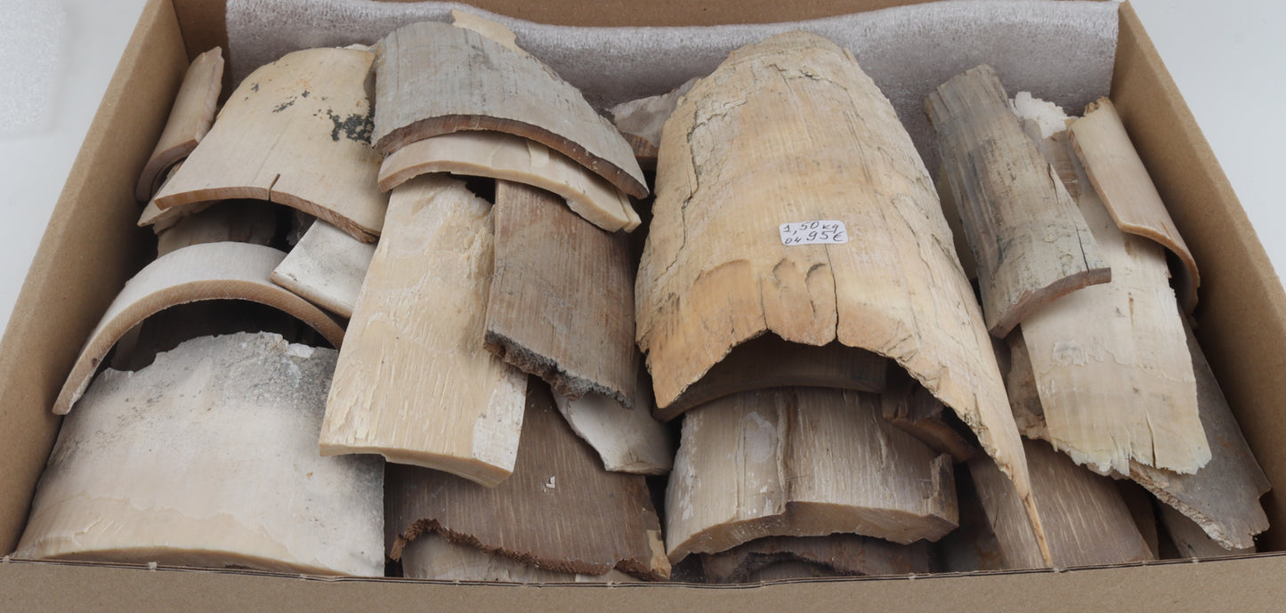 Raw mammoth ivory pieces