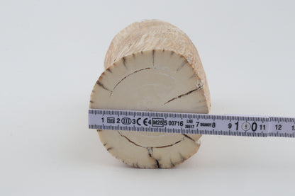 Round mammoth tusk piece