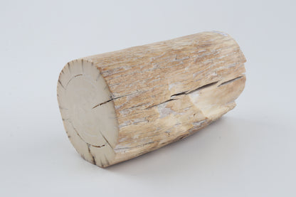 Round mammoth tusk piece