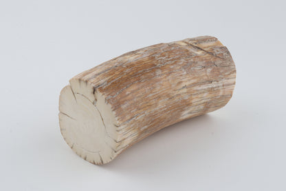 Round mammoth tusk piece