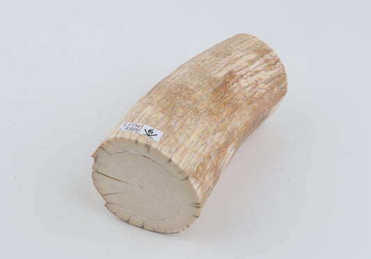 Round mammoth tusk piece