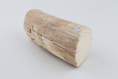 Round mammoth tusk piece