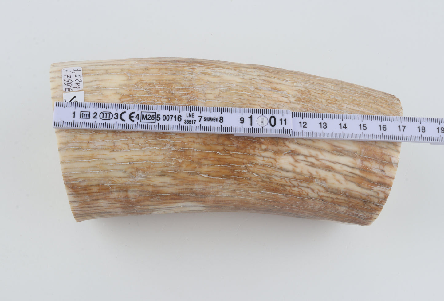 Round mammoth tusk piece