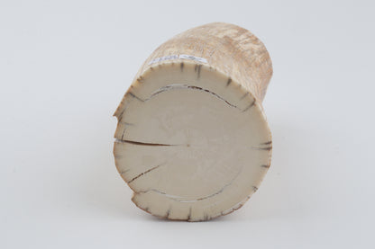 Round mammoth tusk piece