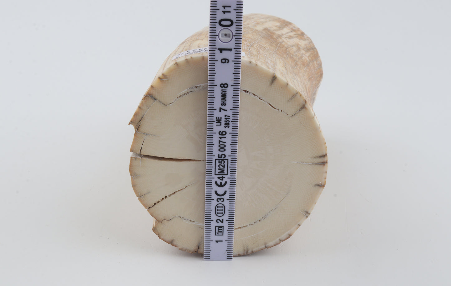 Round mammoth tusk piece