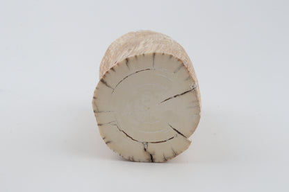 Round mammoth tusk piece