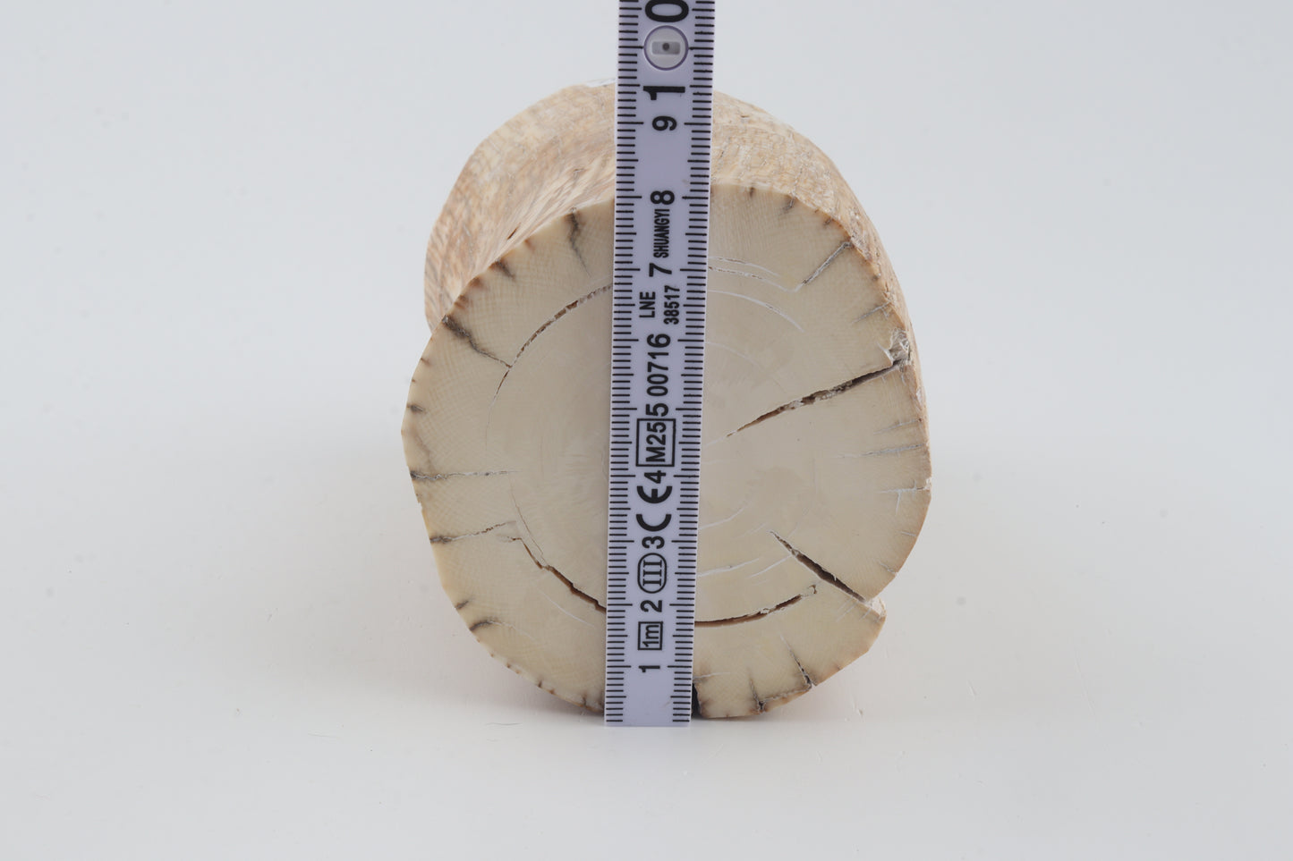 Round mammoth tusk piece