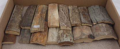 Untreated mammoth bark pieces