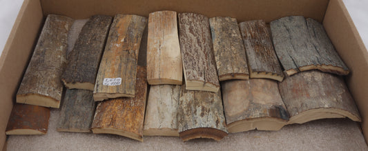 Untreated mammoth bark pieces