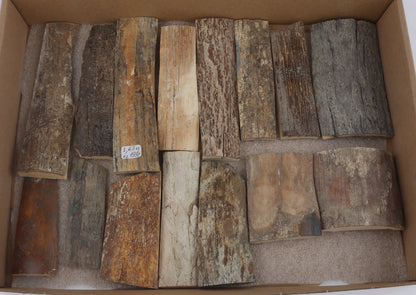 Untreated mammoth bark pieces
