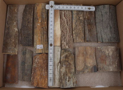 Untreated mammoth bark pieces