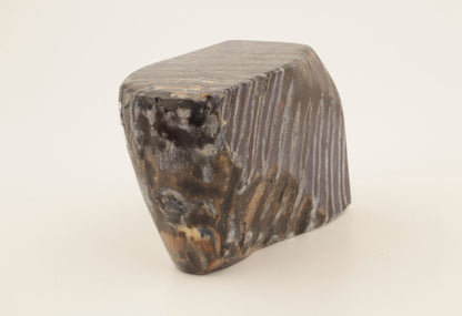 Stabilised mammoth molar piece