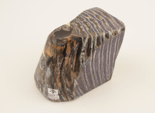 Stabilised mammoth molar piece