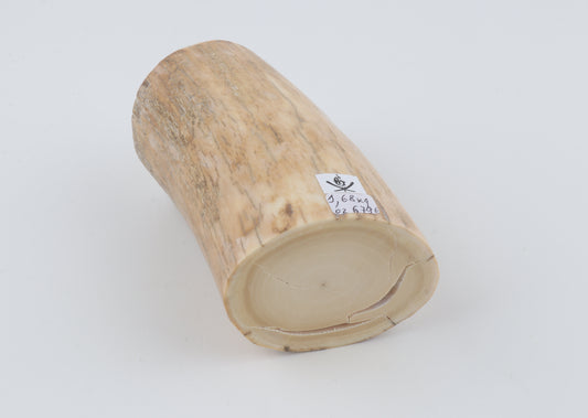 Round mammoth tusk piece