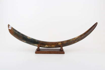 Restored mammoth tusk tip