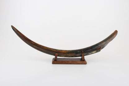 Restored mammoth tusk tip