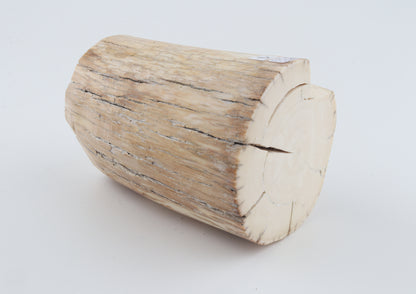 Round woolly mammoth tusk piece