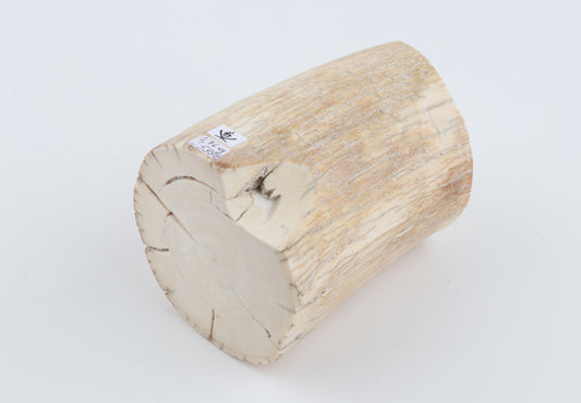 Round woolly mammoth tusk piece