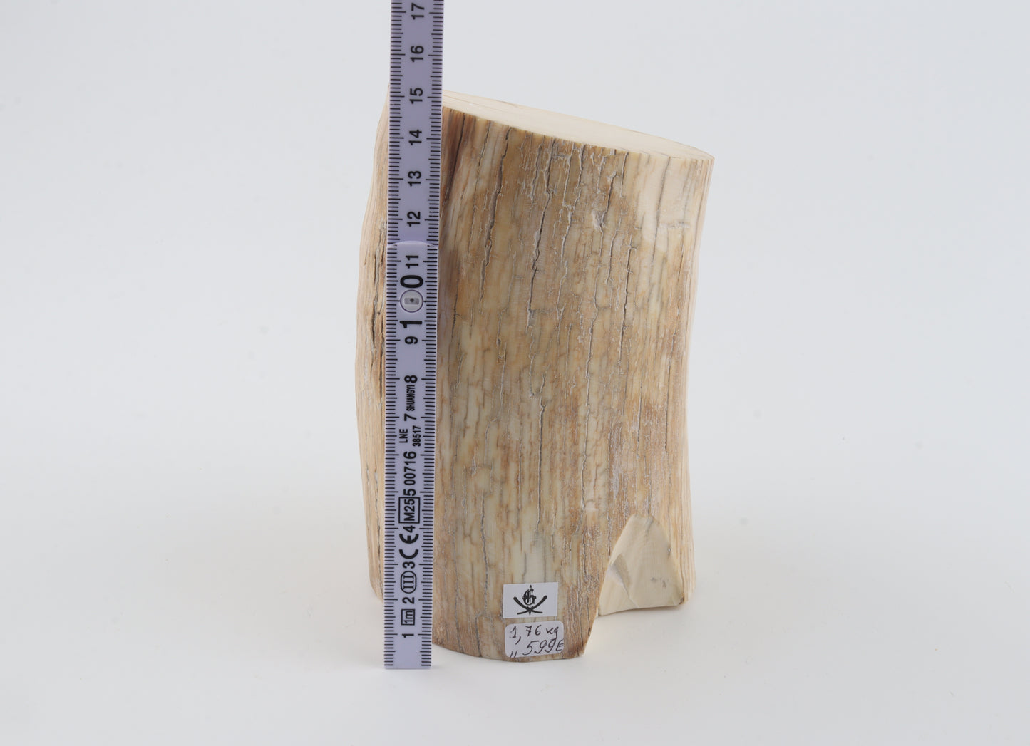 Round woolly mammoth tusk piece