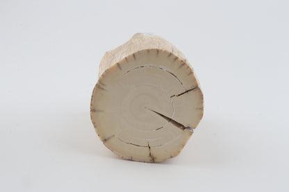 Round woolly mammoth tusk piece