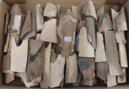 Untreated mammoth ivory offcuts