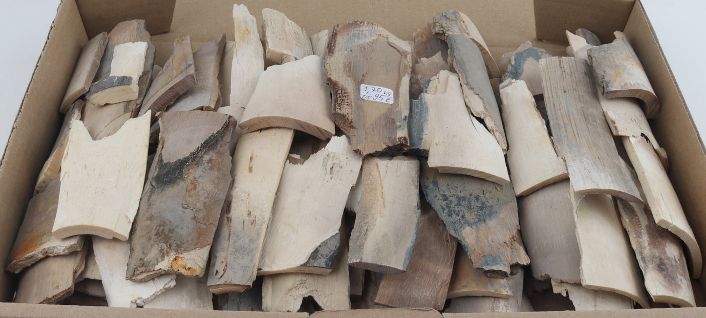 Untreated mammoth ivory offcuts