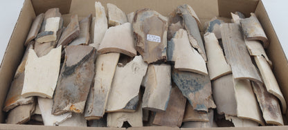Untreated mammoth ivory offcuts