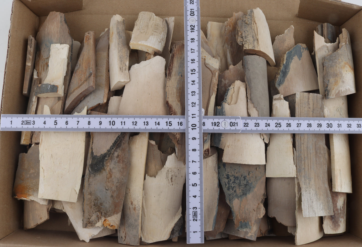 Untreated mammoth ivory offcuts