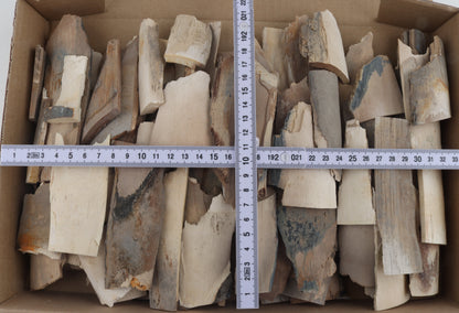 Untreated mammoth ivory offcuts