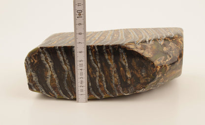 Stabilized mammoth molar piece