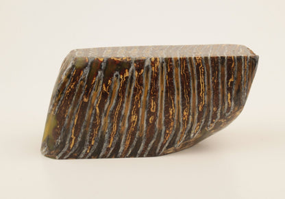 Stabilized mammoth molar piece