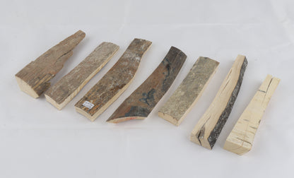 Raw mammoth ivory pieces