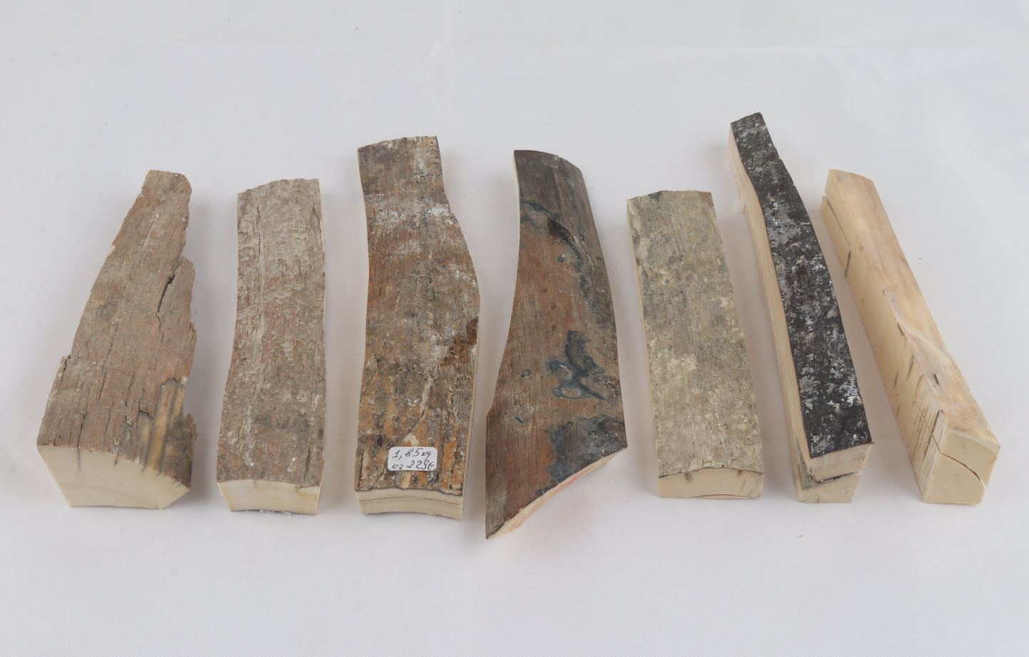 Raw mammoth ivory pieces