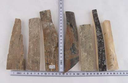 Raw mammoth ivory pieces