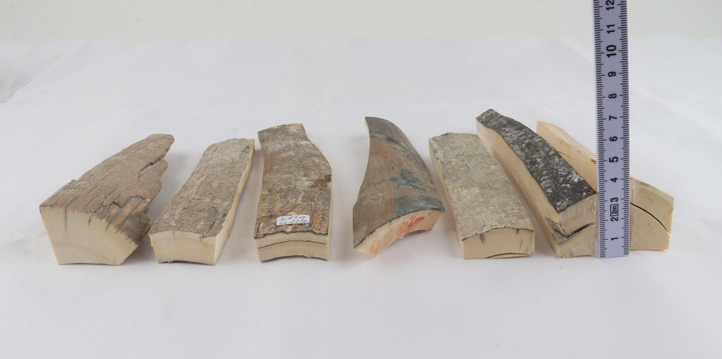 Raw mammoth ivory pieces
