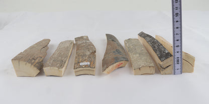Raw mammoth ivory pieces