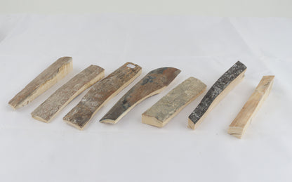 Raw mammoth ivory pieces