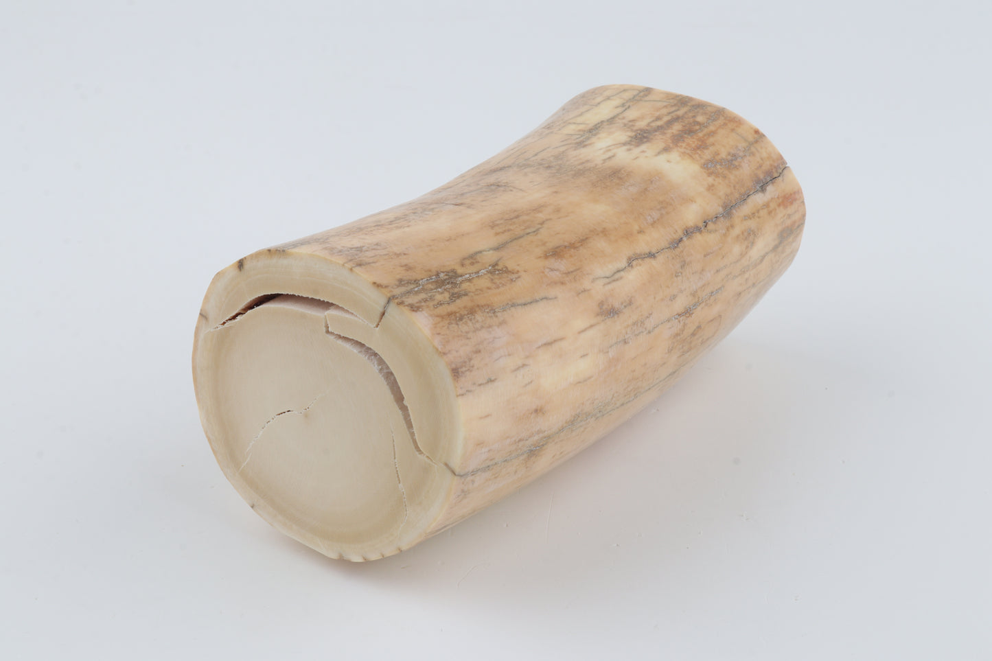 Round woolly mammoth ivory piece