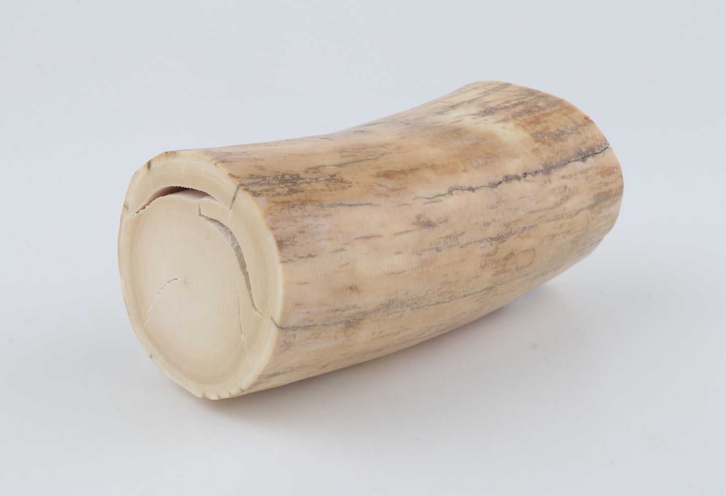 Round woolly mammoth ivory piece