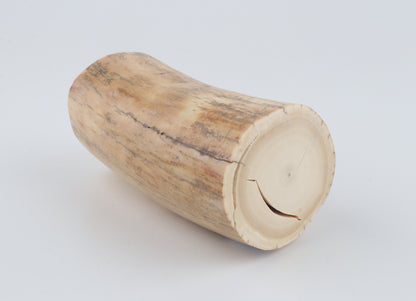 Round woolly mammoth ivory piece