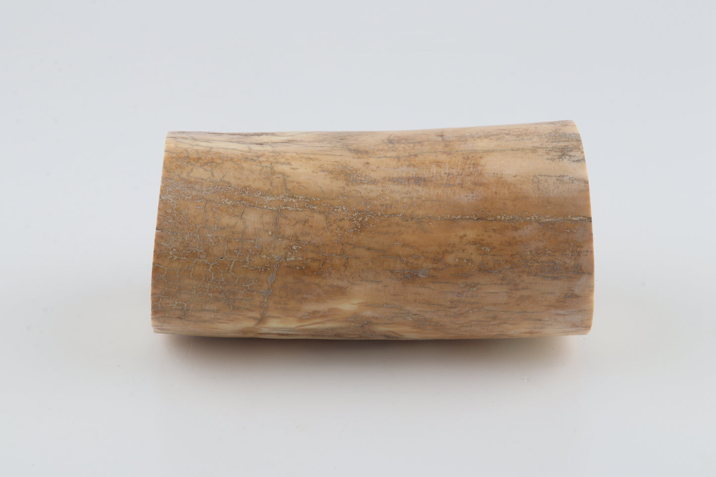 Round woolly mammoth ivory piece