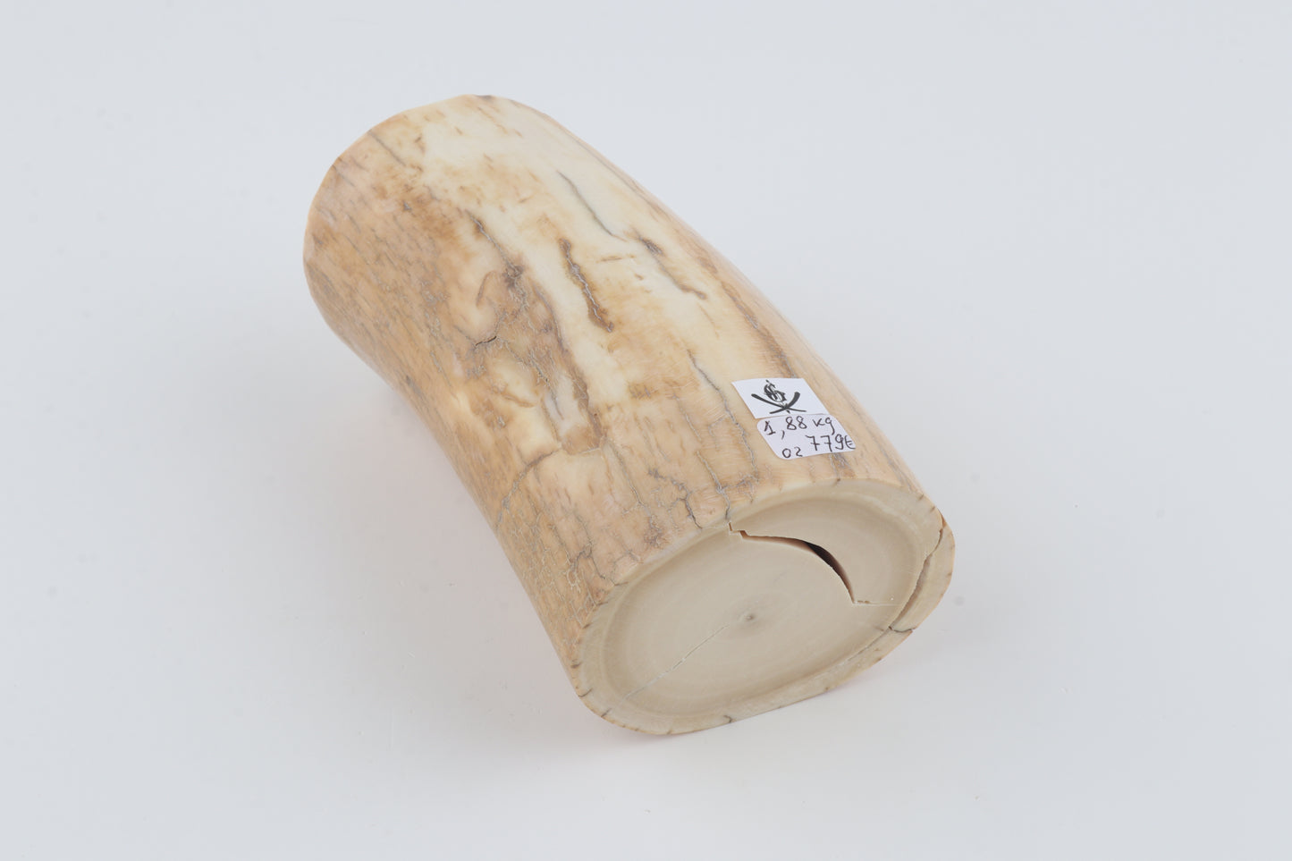 Round woolly mammoth ivory piece