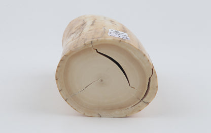 Round woolly mammoth ivory piece